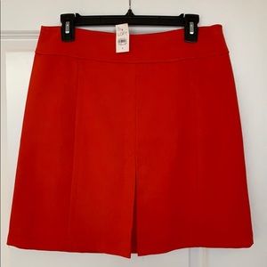 Loft Ann Taylor skirt